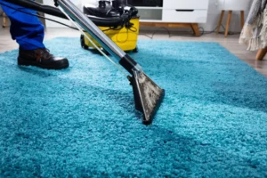 professional-cleaning-carpet