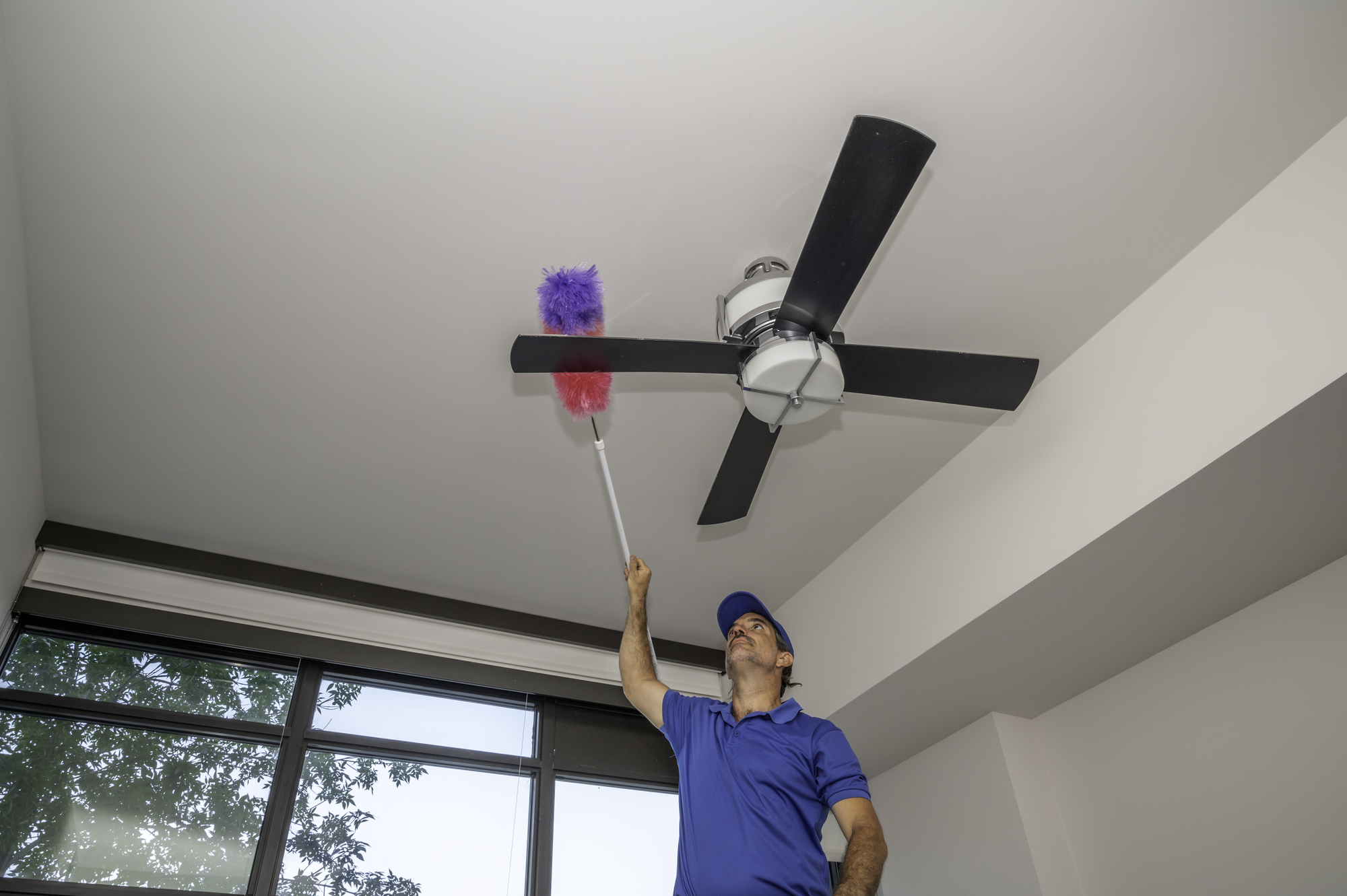 professional cleaner cleans dusty ceiling fan blades