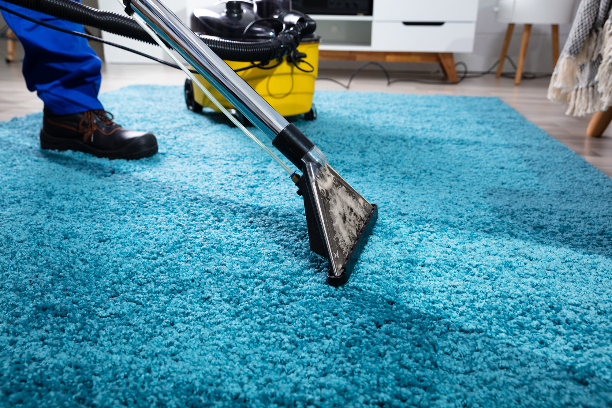 professional cleaning carpet